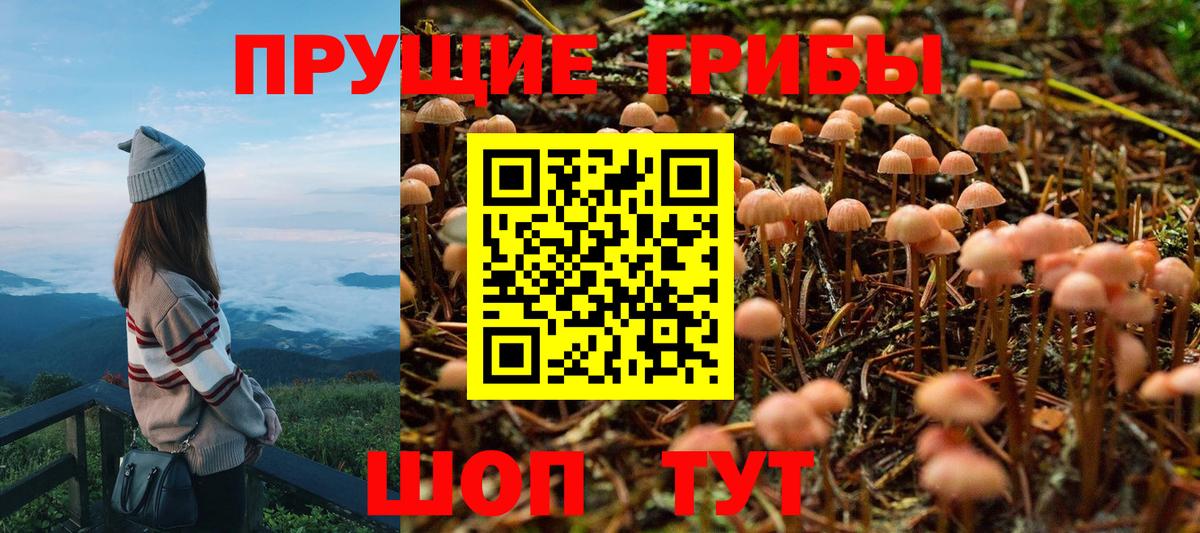 ГАШИШ  ГАШ  Кетамин  Каннабис  Ачхой-Мартан  Меф МЯУ МЯУ   КОКАИН  Купить наркоту 