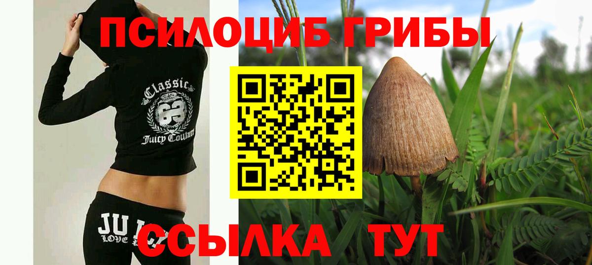 Псилоцибиновые грибы мухоморы Ачхой-Мартан